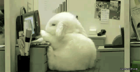 Don't fall asleep!